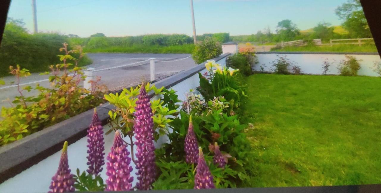 Impeccable 2-Bed Cottage in rural setting Listowel Esterno foto
