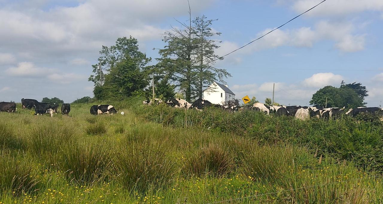 Impeccable 2-Bed Cottage in rural setting Listowel Esterno foto