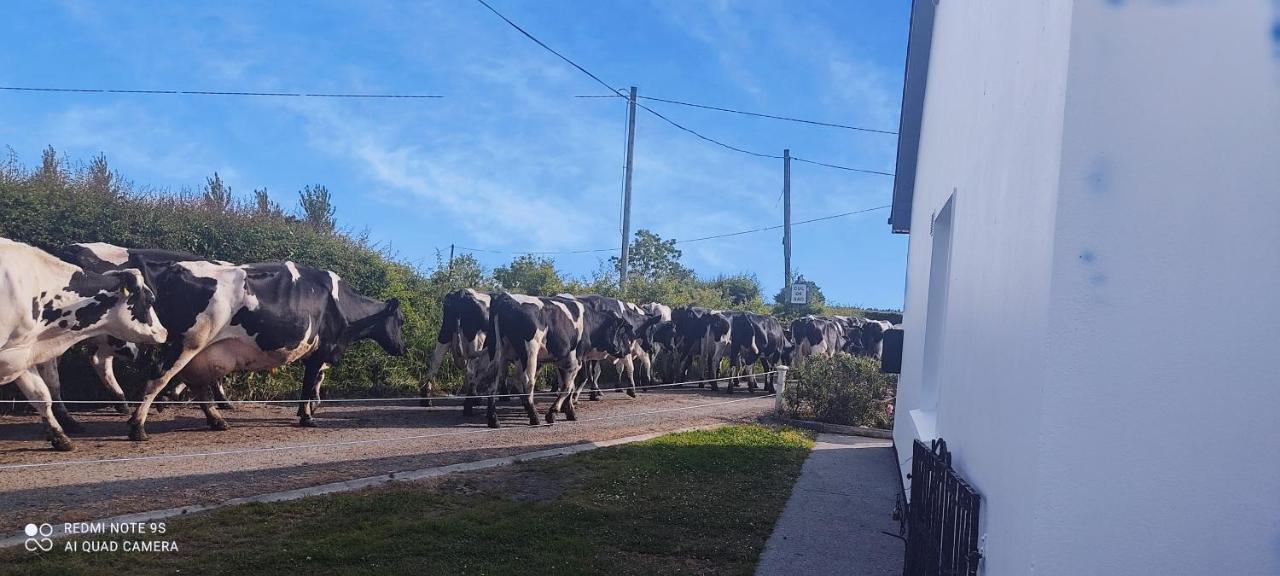 Impeccable 2-Bed Cottage in rural setting Listowel Esterno foto